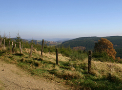 entry image