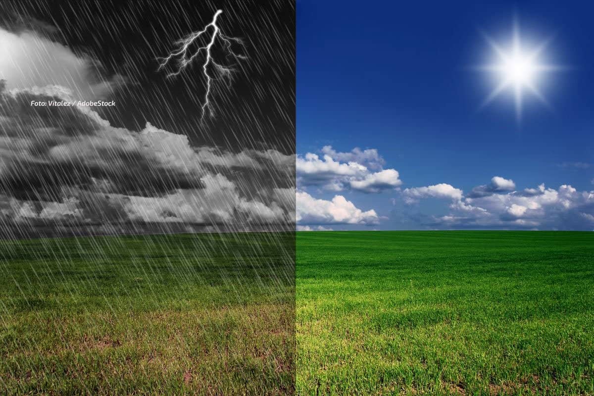 wetter.net im neuen Look: Radar, Trend und News auf einen Blick
