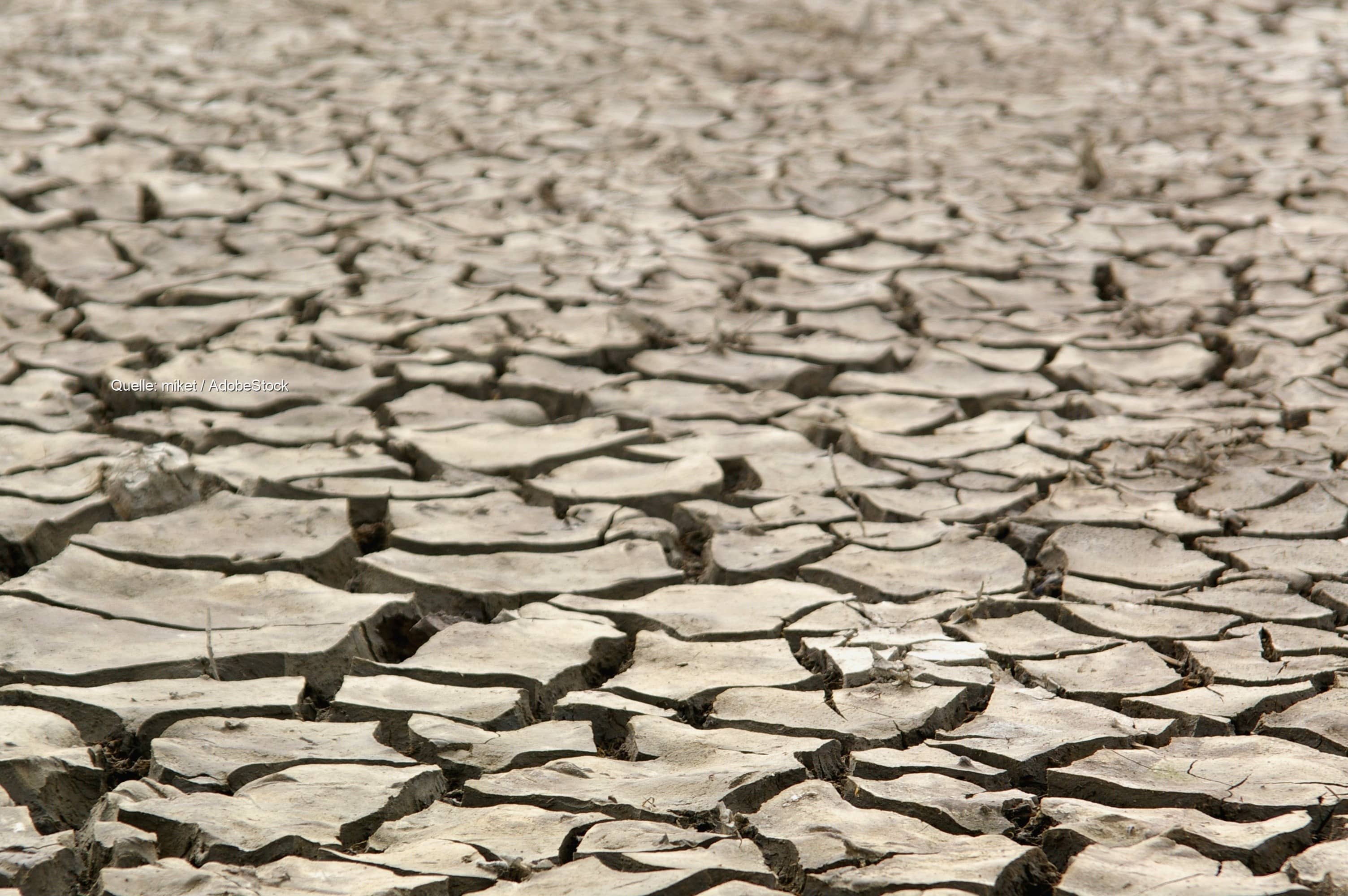Niedrigwasser am Mittelrhein: Pegel Kaub unter dem Rekord von 2018 – Schiffe laden nur ein Fünftel