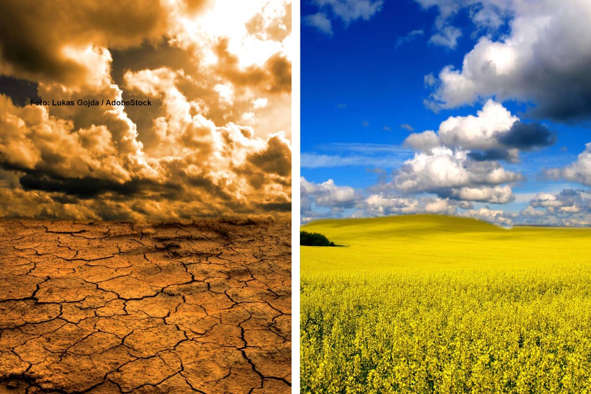 Zu mild, zu trocken, zu sonnig – April 2025!