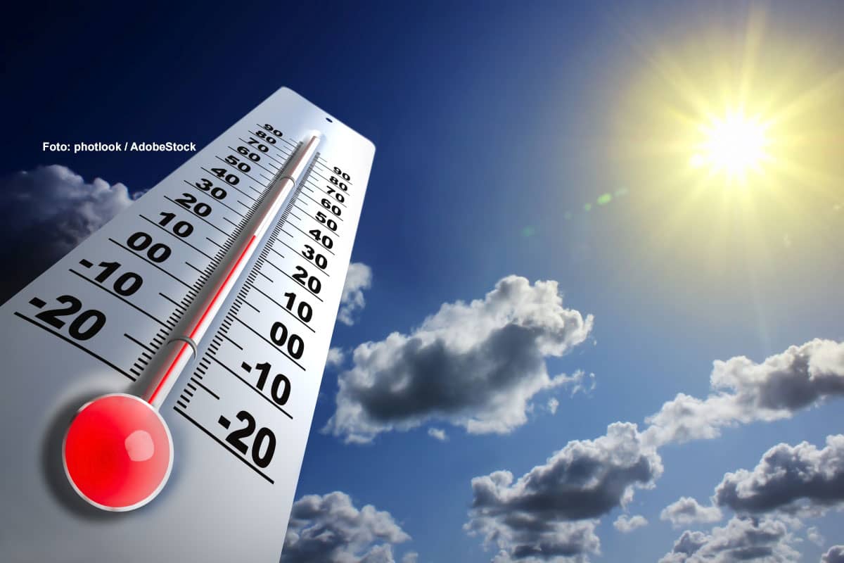 Sonnenglut und Trockenzeiten – Der Juni 2025 im Wetterrückblick
