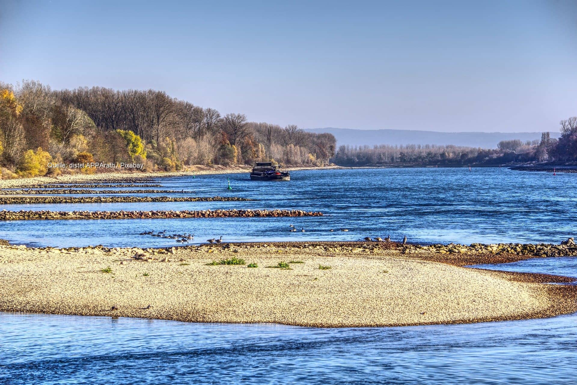 Frühe Vibrionen-Saison an der Ostsee: 17 Infektionen und zwei Todesfälle gemeldet