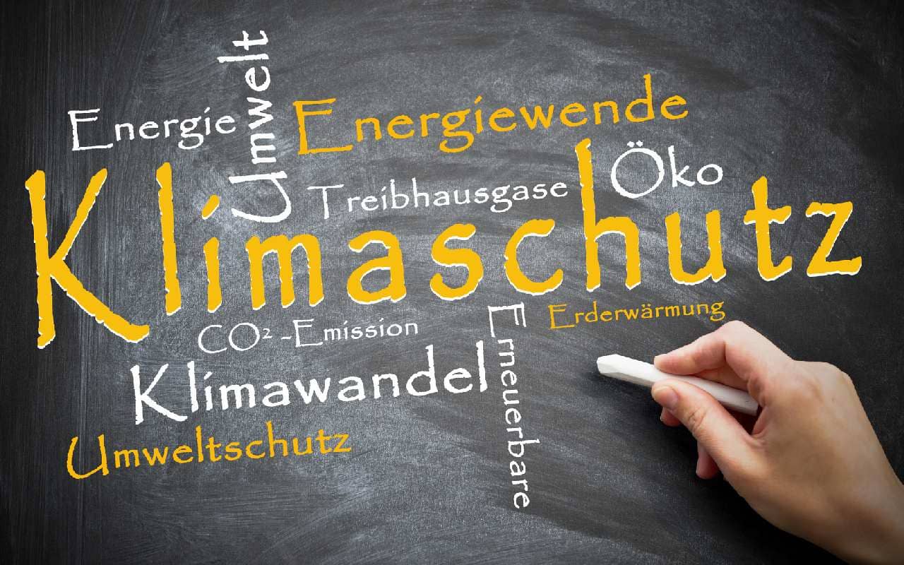 Neues aus der Klimaforschung: Pflanzen nehmen mehr CO2 auf