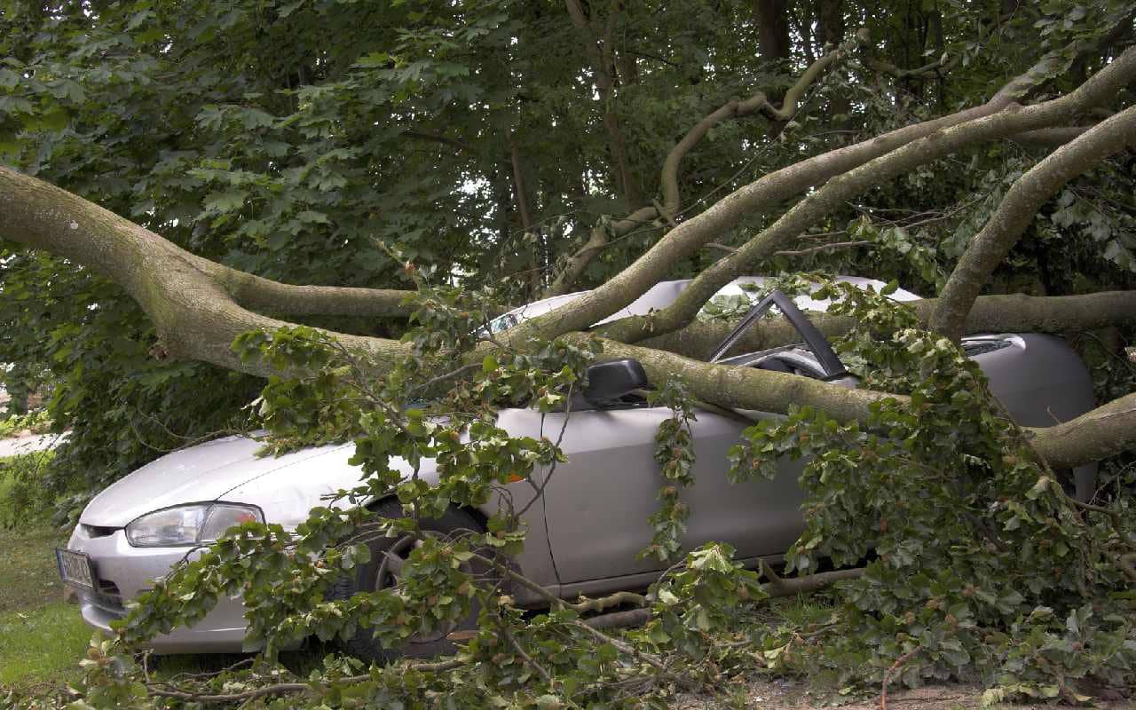 Drei Tote durch Herbstorkan Sebastian