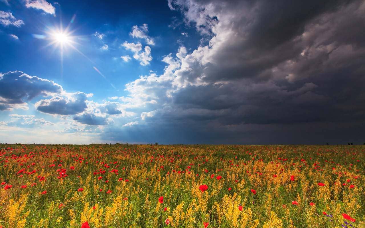 Rückblick auf das Wetterjahr 2016