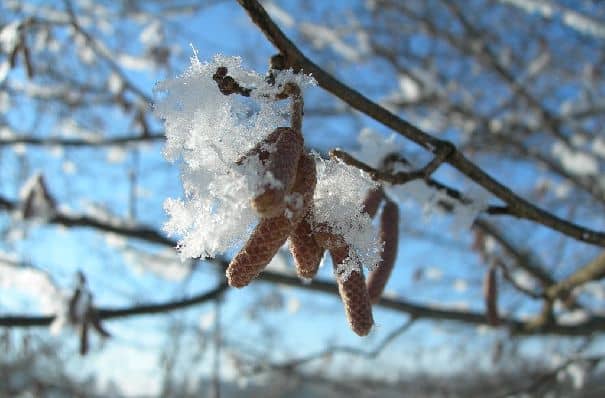Winter adé – ein Rückblick