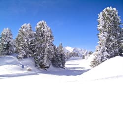 Jahrhundertwinter