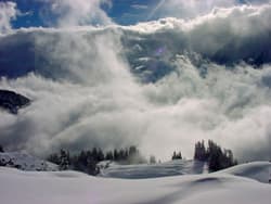 Nebel