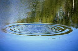 Wasser