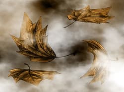 Windhose