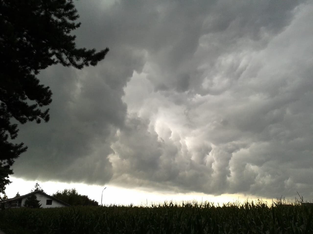 Schwülheiß mit lokaler Unwettergefahr