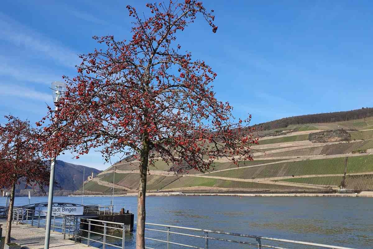 Wochenendwetter: Regional Chancen auf Sonne