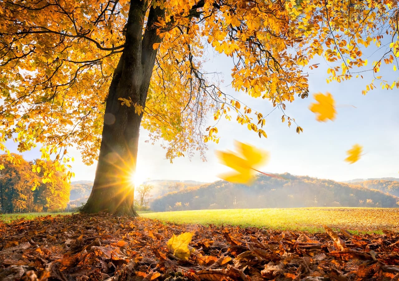 Altweibersommer-Wetter vom Feinsten!