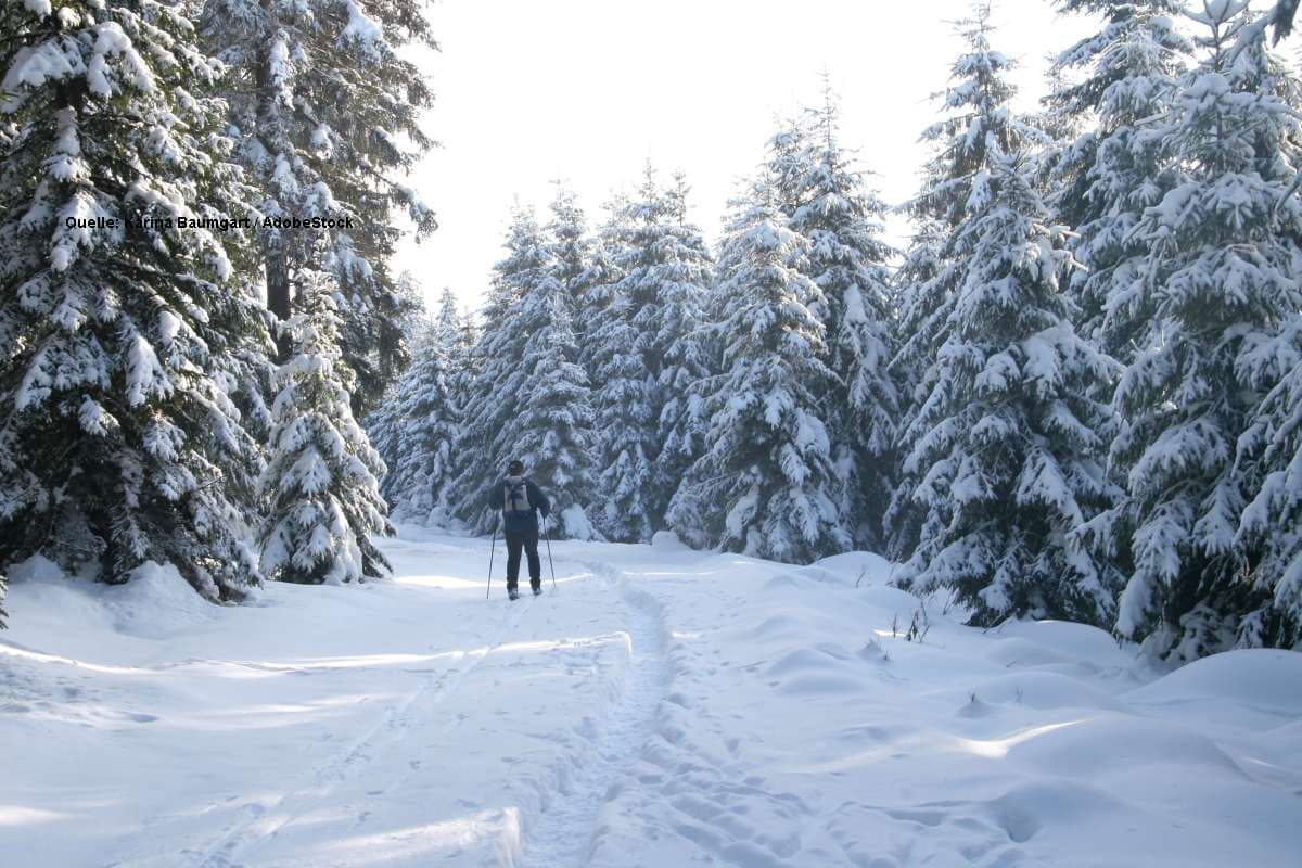 Meteorologe warnt: Polarluft im Anmarsch – Kommt der Winter zum dritten Advent?