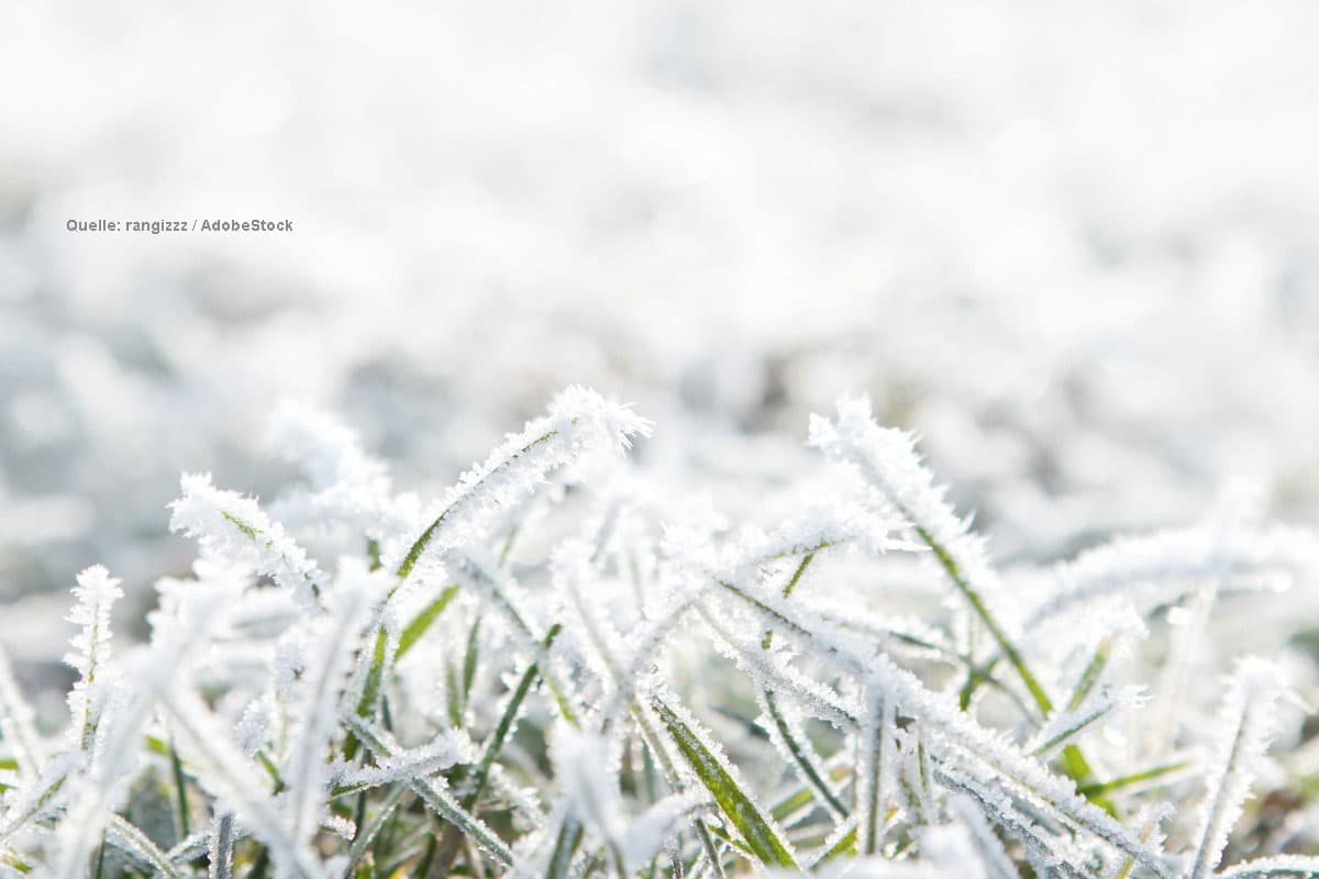 Ostern mit Schnee und Frost?