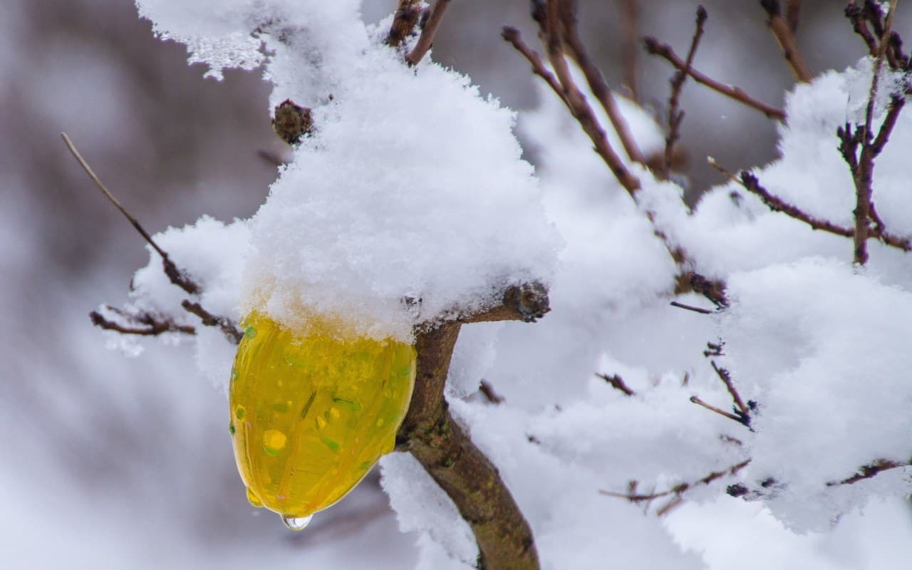 Neuer Kälteschock zu Ostern?