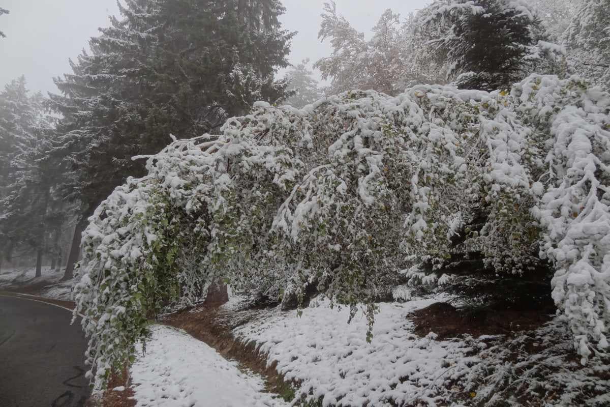 Geht der Winter in die Verlängerung? Luftmassengrenze weiter über Deutschland!