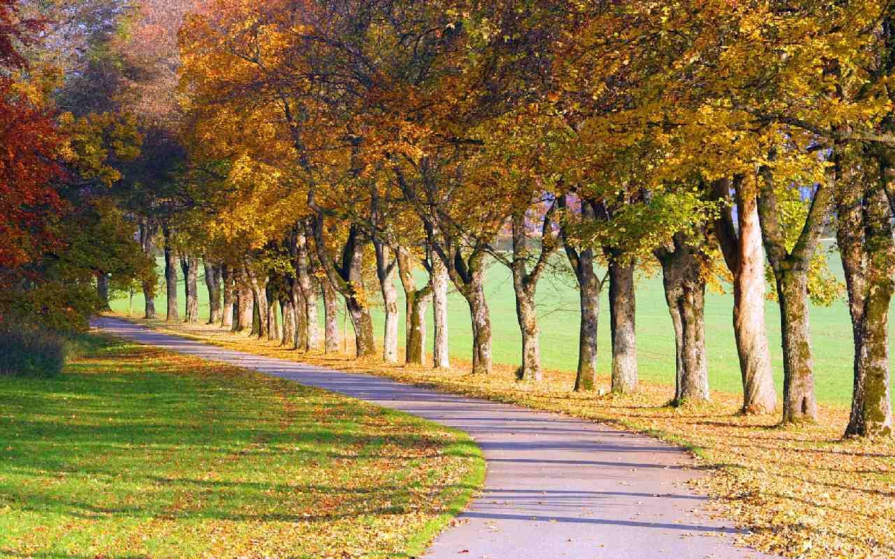 Der Oktobersommer macht schlapp!
