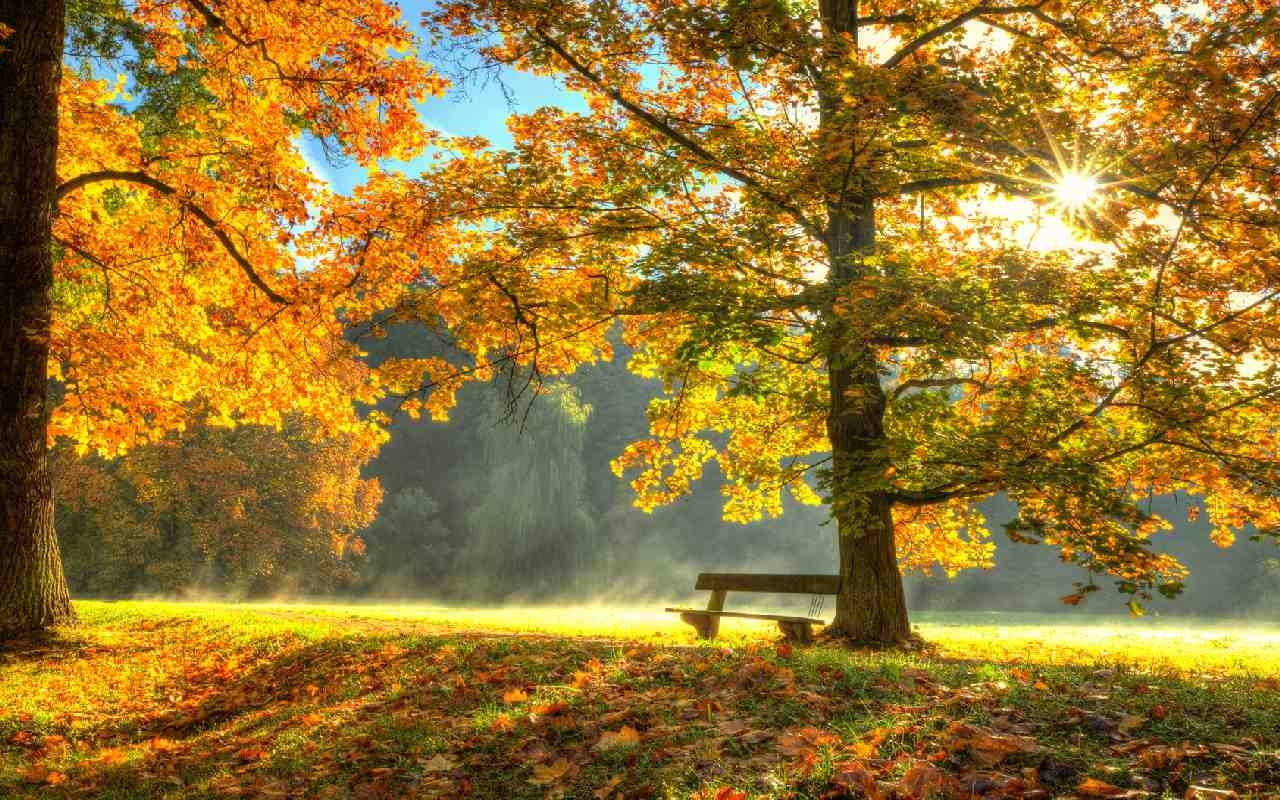 Der Luftdruck steigt – goldener Oktober kommt
