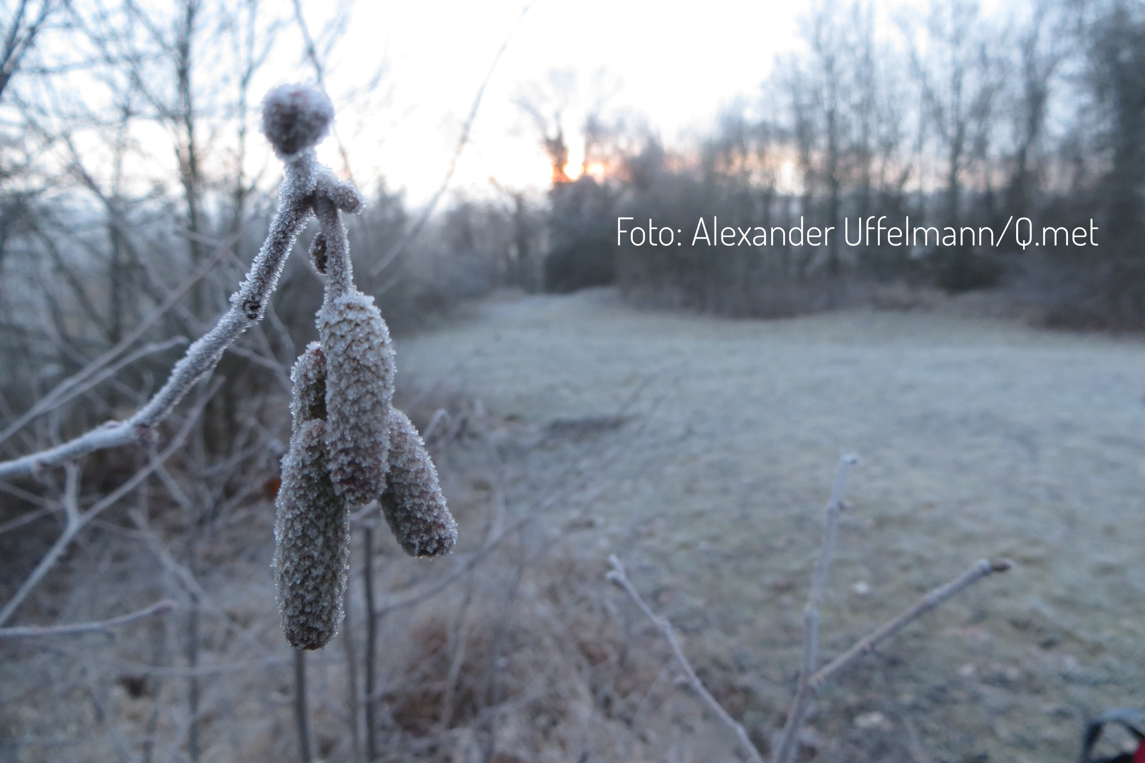 Frostgefahr! Wo wird es am kältesten?