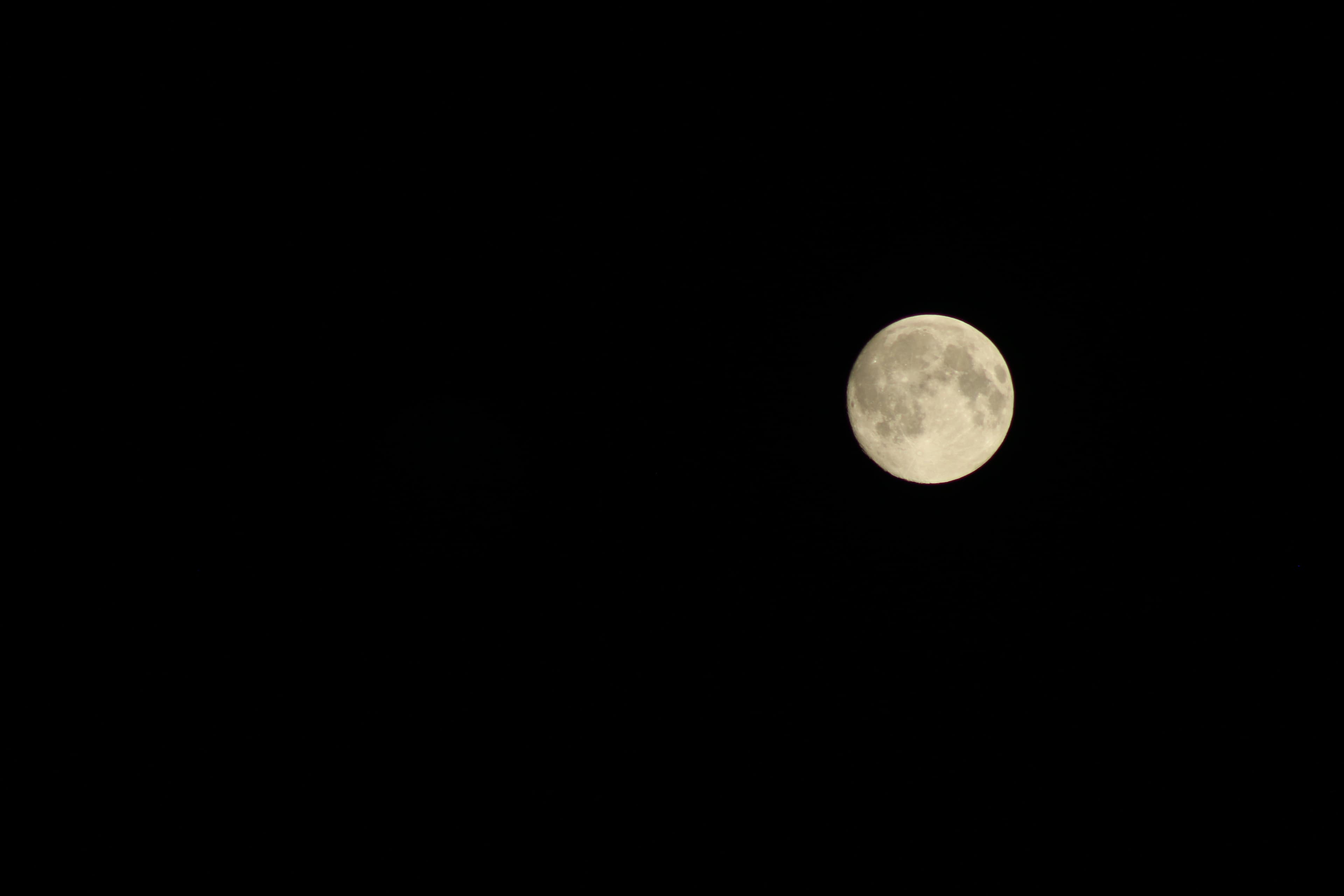 Bluemoon ganz nahe