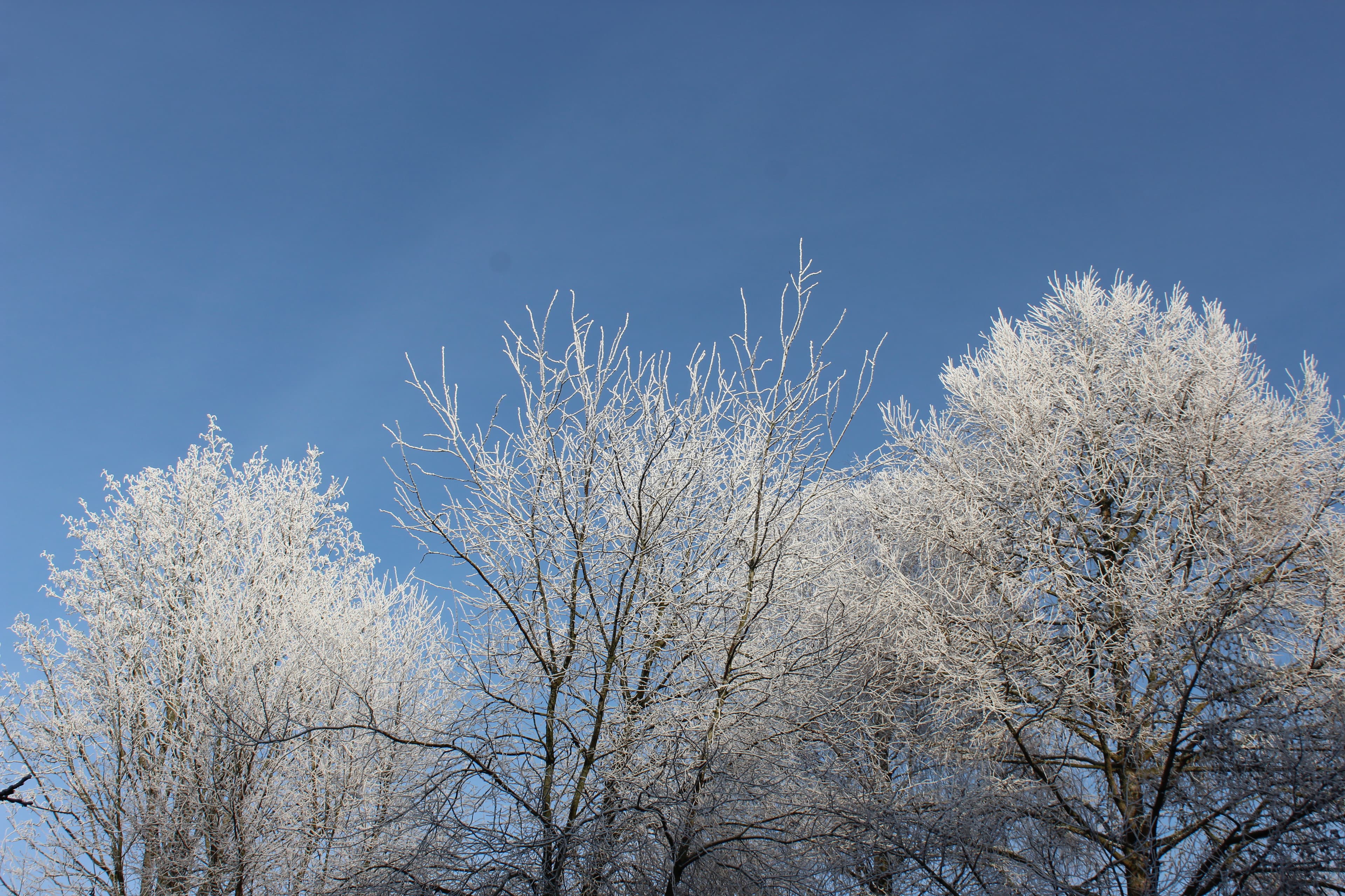 Der Winter zeigt seine Zähne