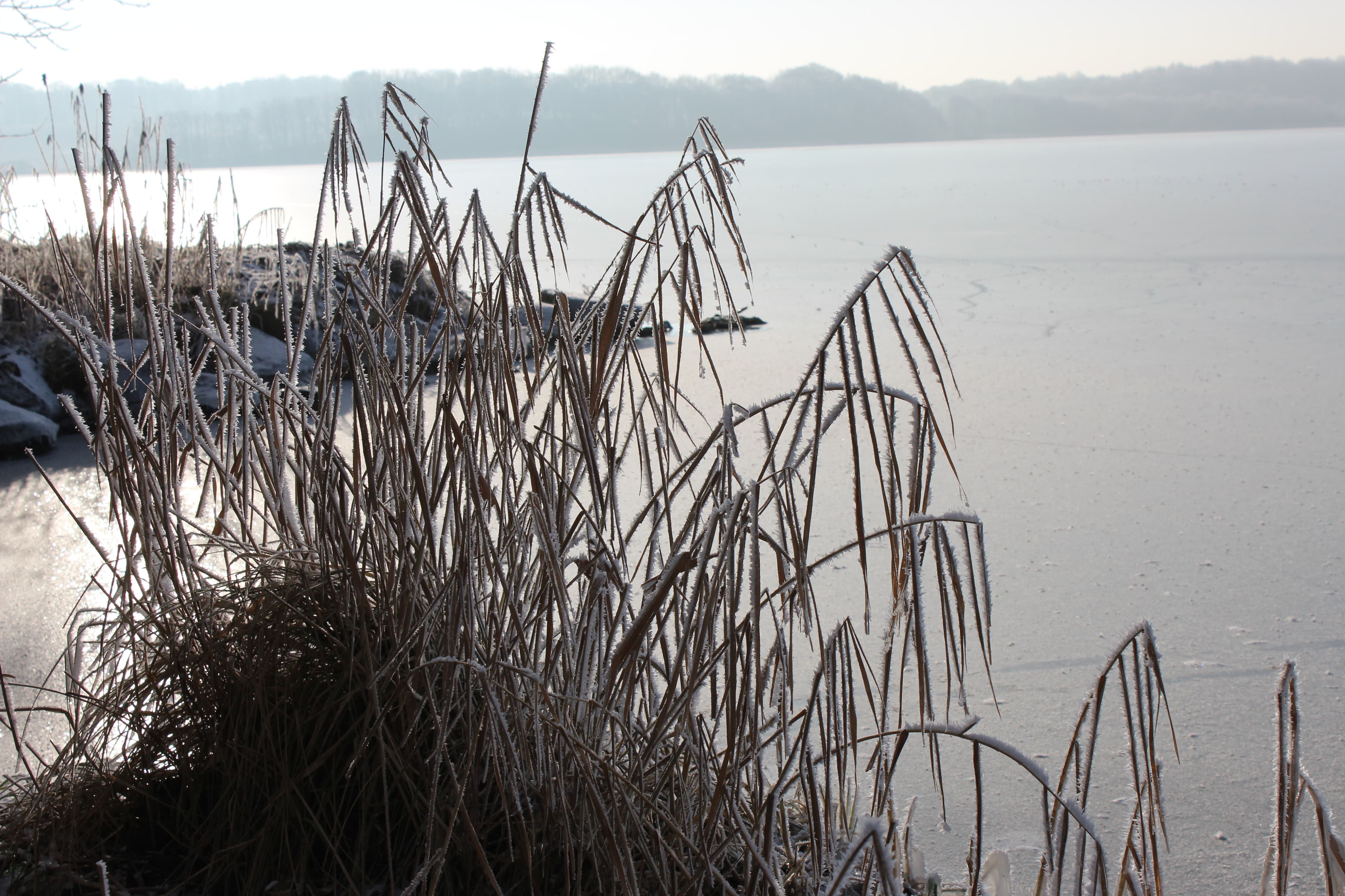 Der Winter naht...