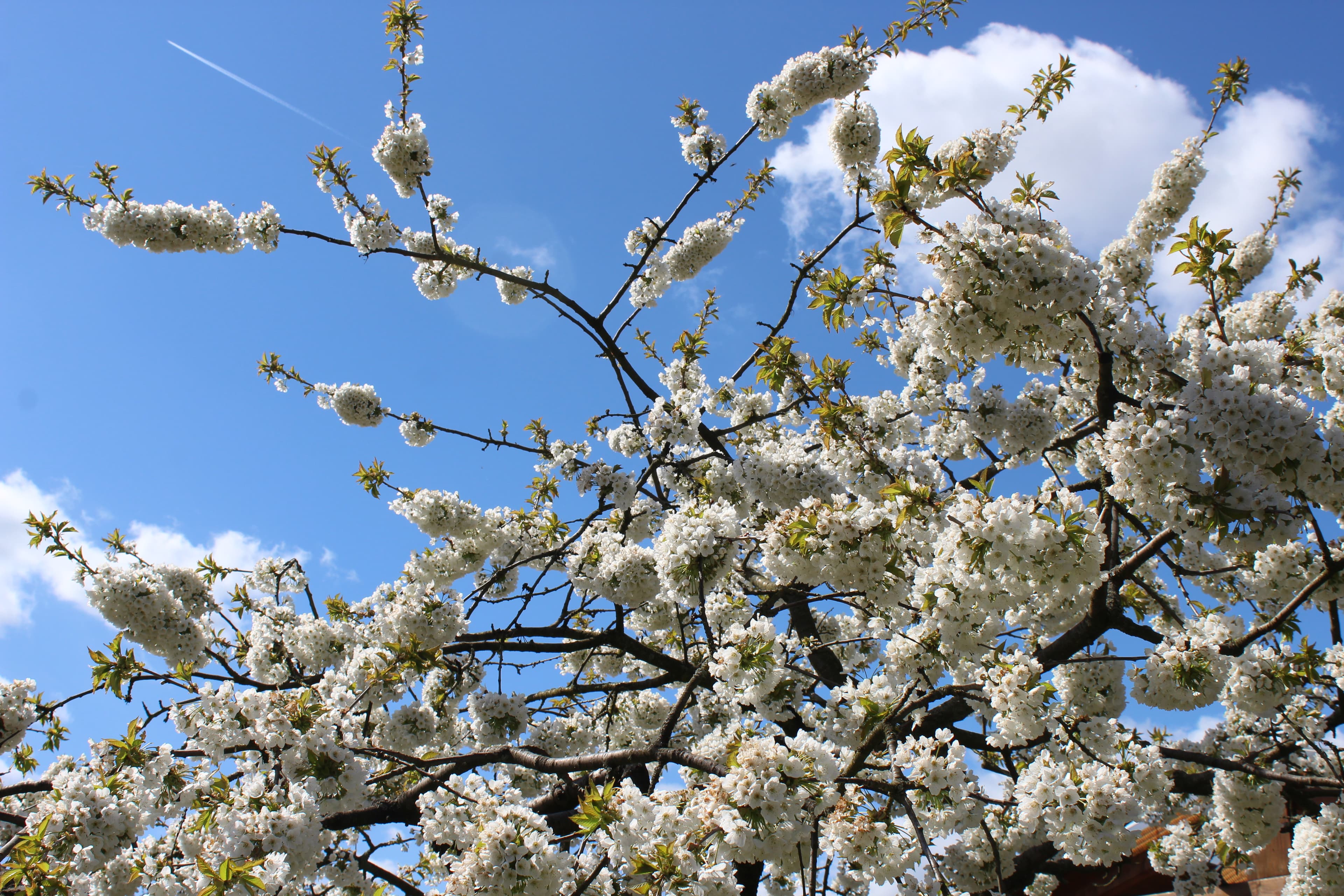 April, April, er macht was er will