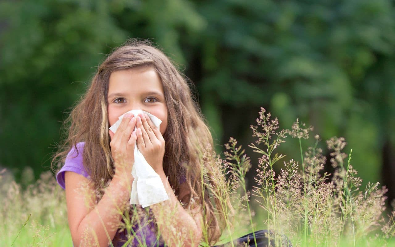 Allergiker und Landwirte atmen auf