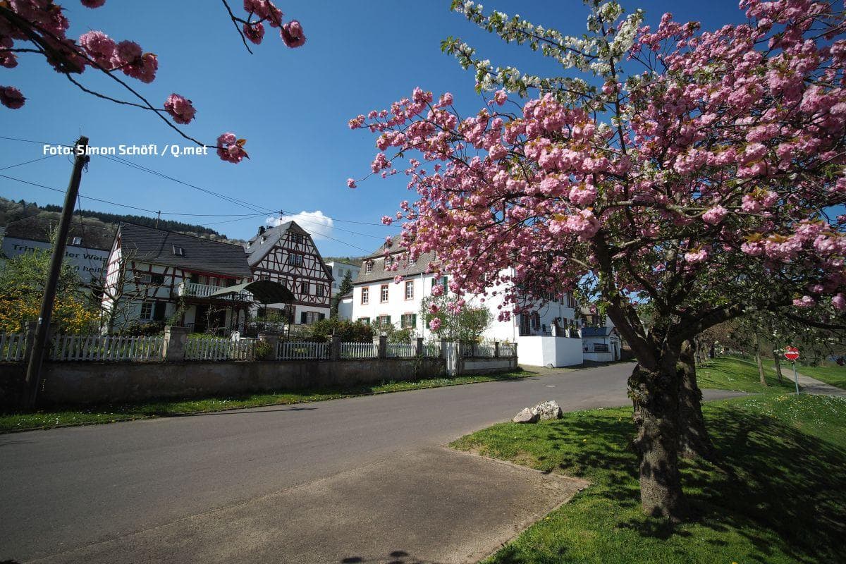 Neues Hoch sorgt für angenehmes Frühlingswetter - Norden jedoch recht kühl