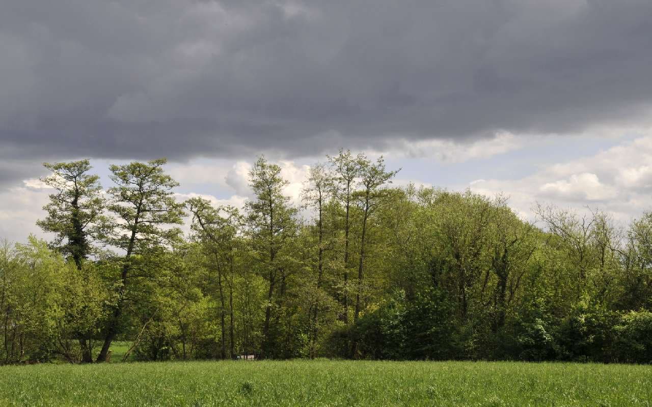 Regengüsse und Windböen in kühler Luft
