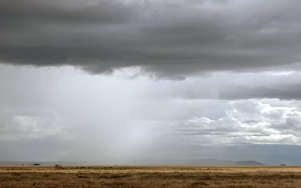 Wolkenreich mit Schauern bei böigem Wind