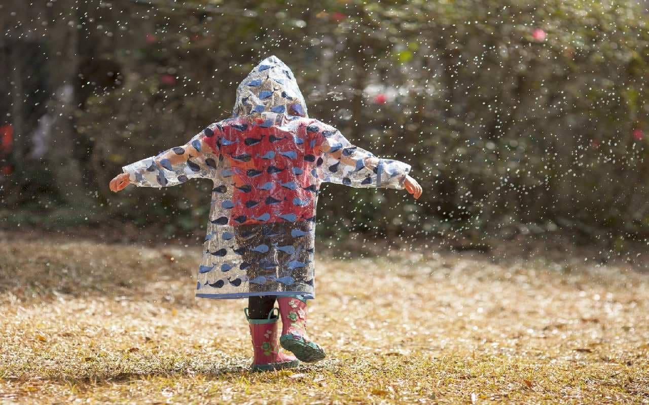Hochsommer pausiert zur Wochenmitte