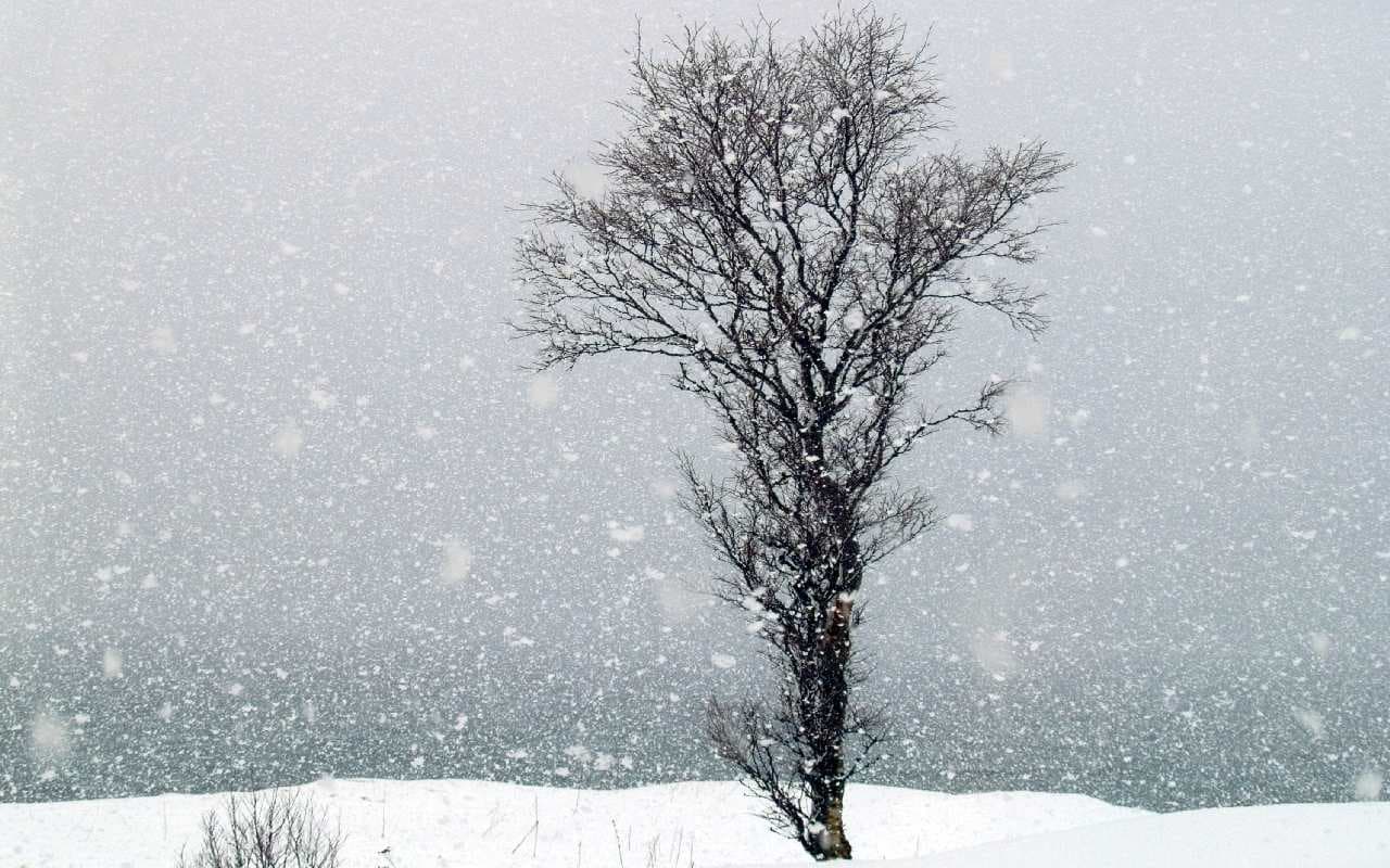 Wochenendauftakt mit Regen- und Schneeschauern