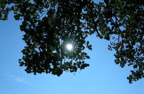 Milder Tag mit viel Sonnenschein