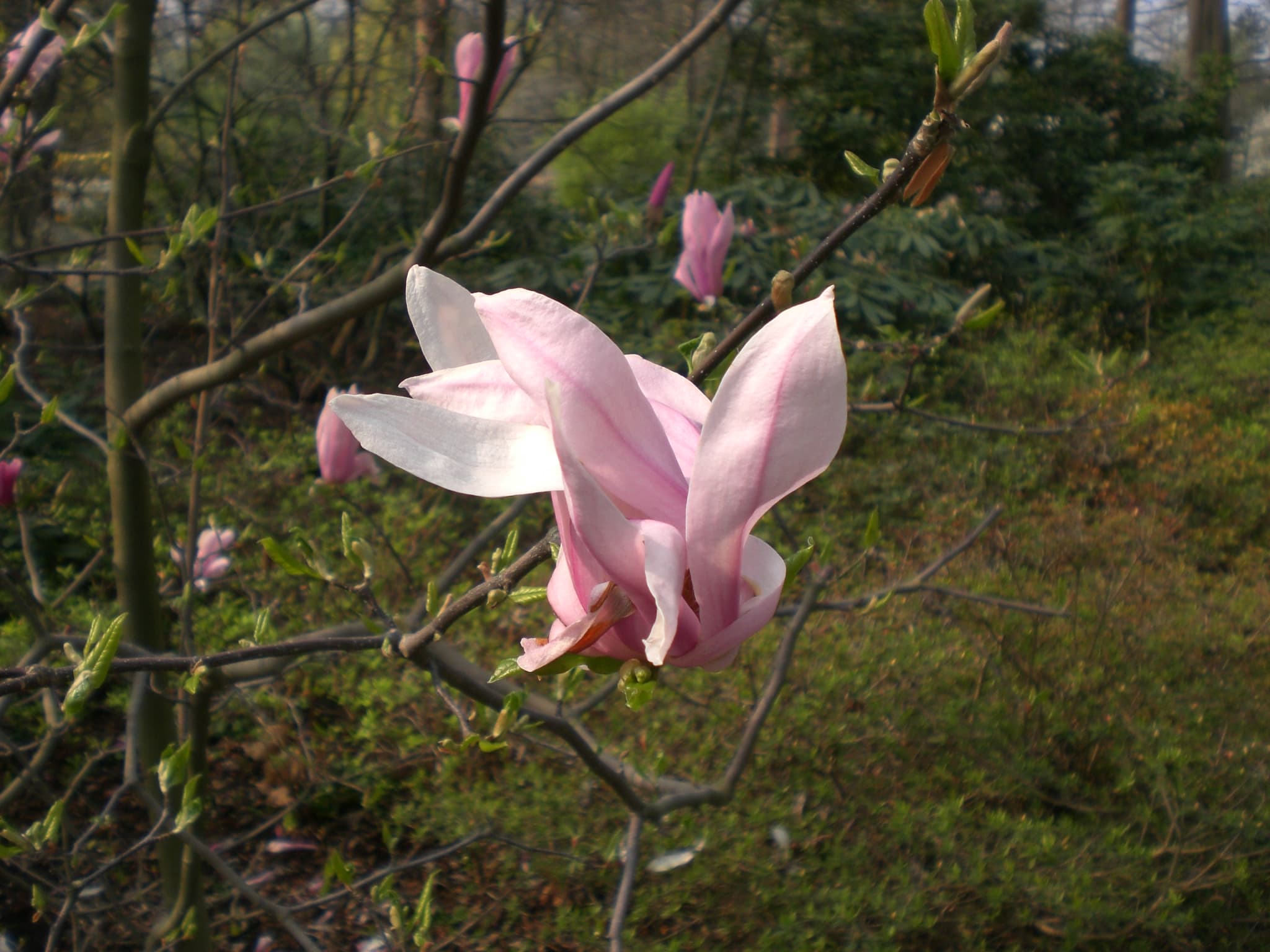 Hurra, freundliches Frühlingswochenende ist da!