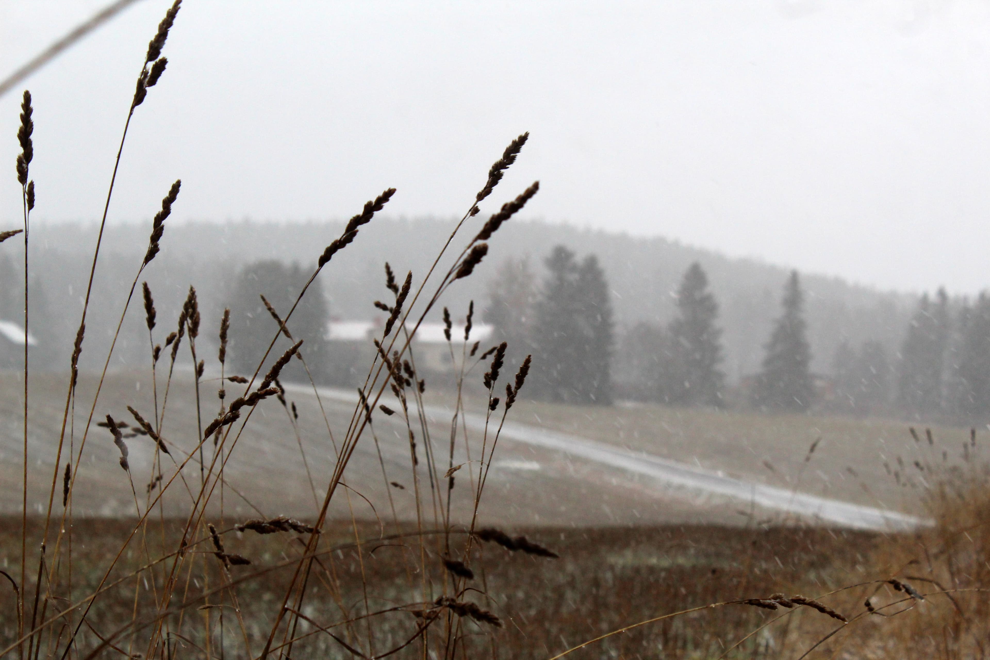 Regen aus Westen!