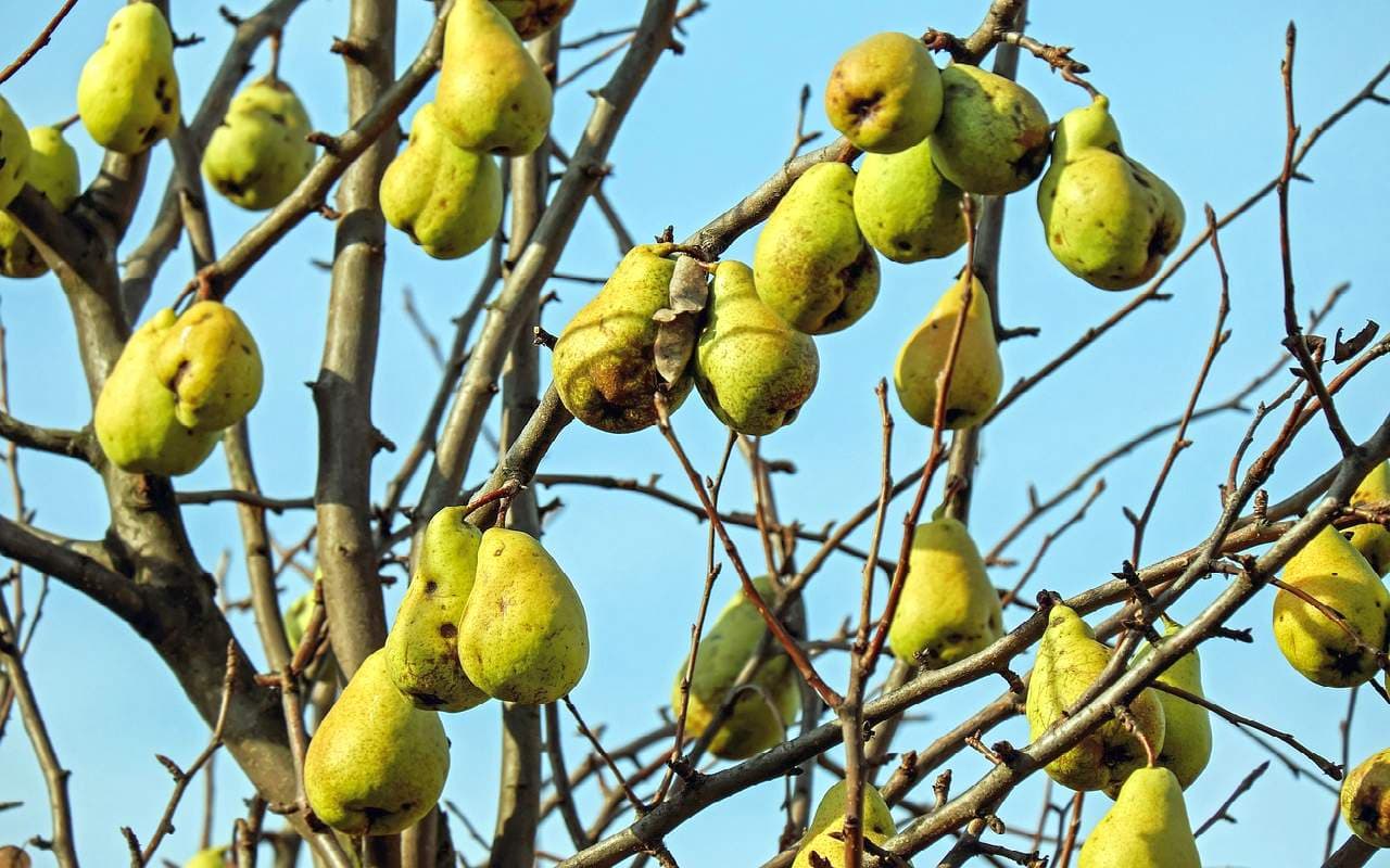 Sonnensoll im Oktober bereits vielerorts überschritten
