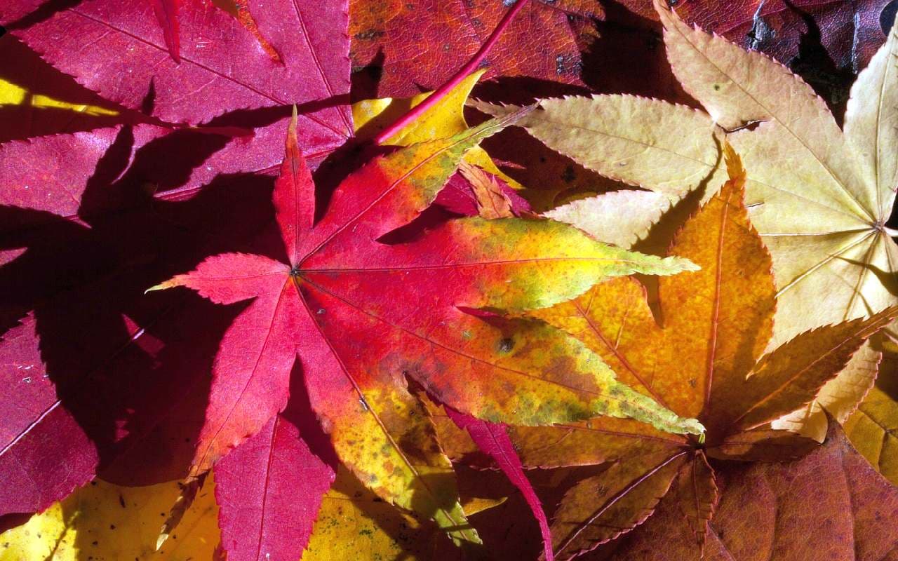 Entspanntes Herbstwetter!