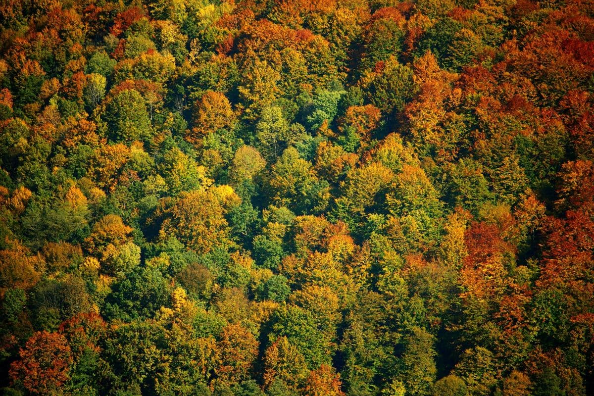 Goldenes Oktoberwetter steht vor dem Aus