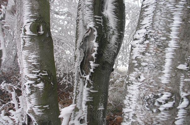 Extremes Kältehoch über Teilen Russlands
