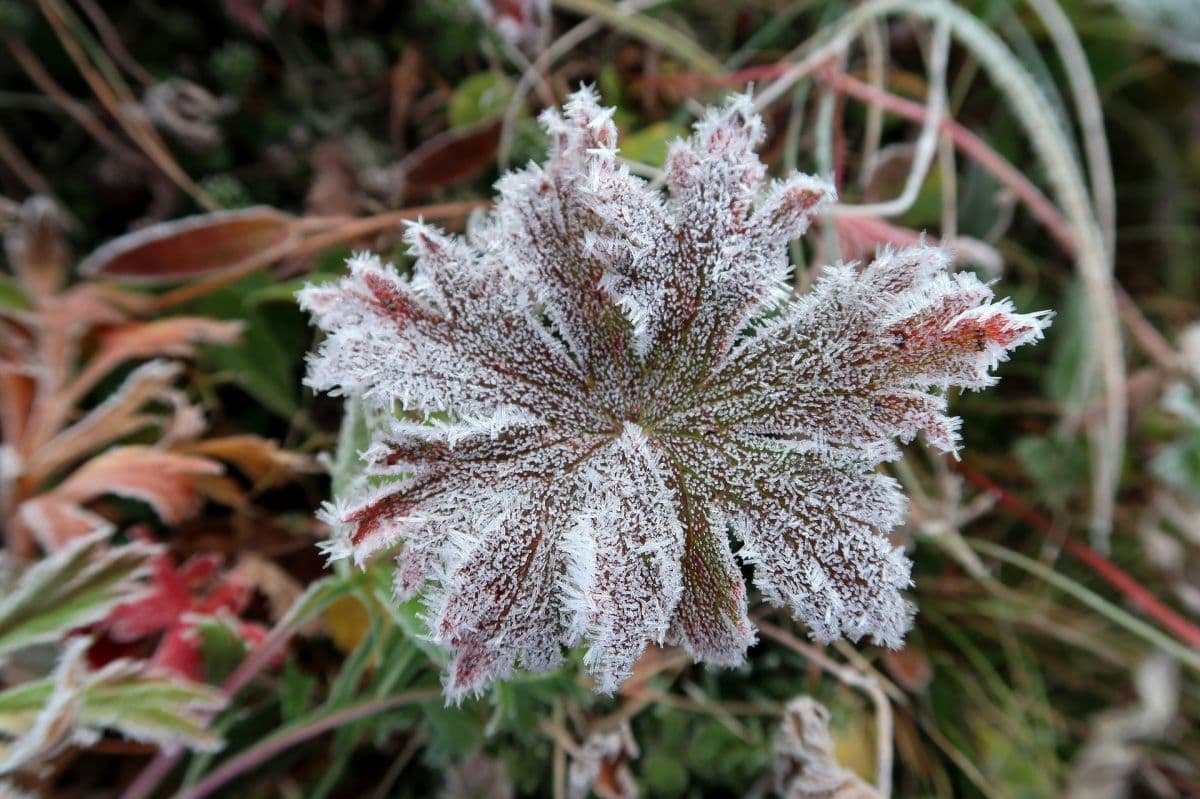 Nachts im Westen örtlich Schnee und Glätte