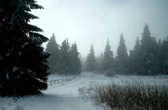Schneefallgrenze in den Alpen sinkt