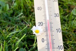 Örtlich 20 Grad - bislang wärmster Tag in diesem Jahr