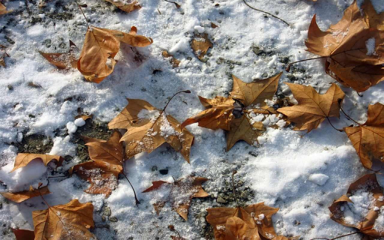 Herbststurm Vaia bringt Schnee und Regen