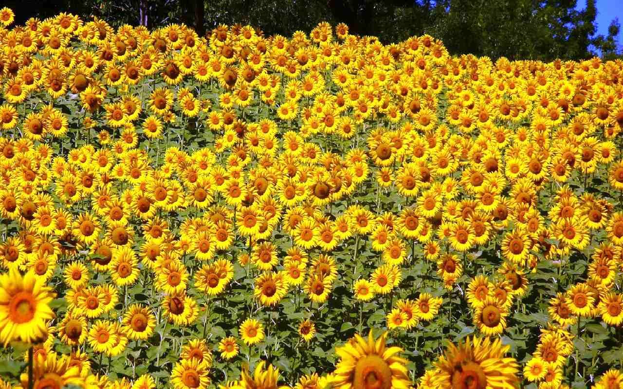 Meteorologischer Herbst beginnt mit Spätsommerwetter