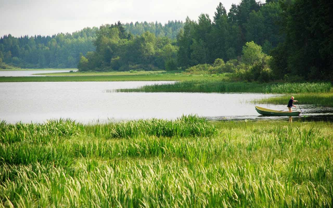 Angenehmes Sommerwetter im Süden, kühles Wetter im Norden