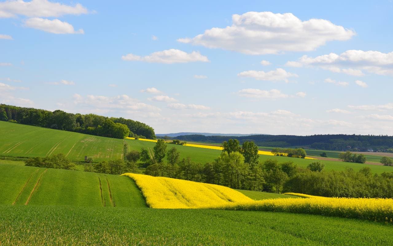 Viel Sonne zwischen Küsten und Mittelgebirgen