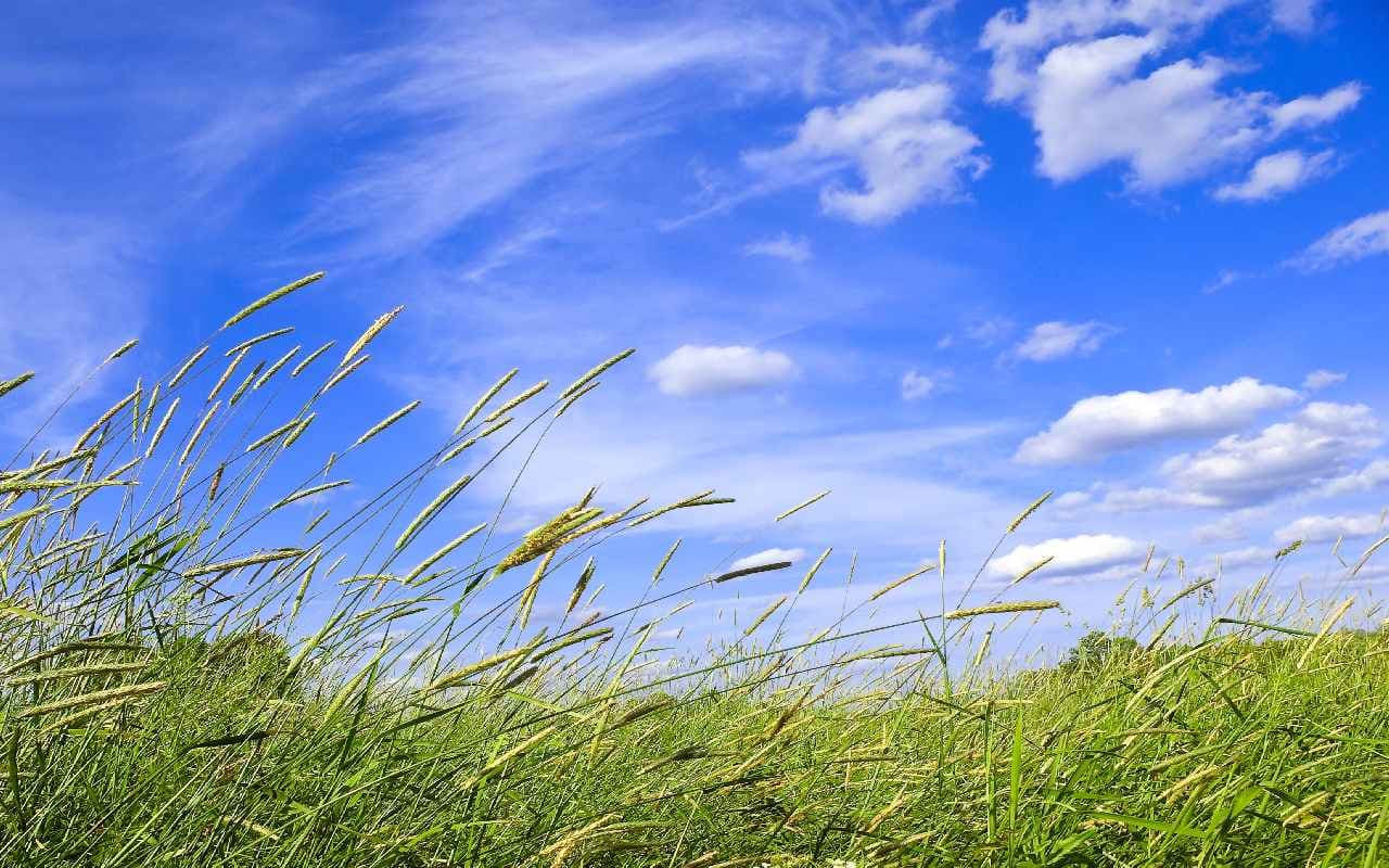 Heiße Hochsommerwoche im Anmarsch