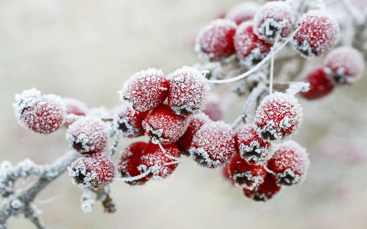 Eisigkalt, dazu Schnee im Norden